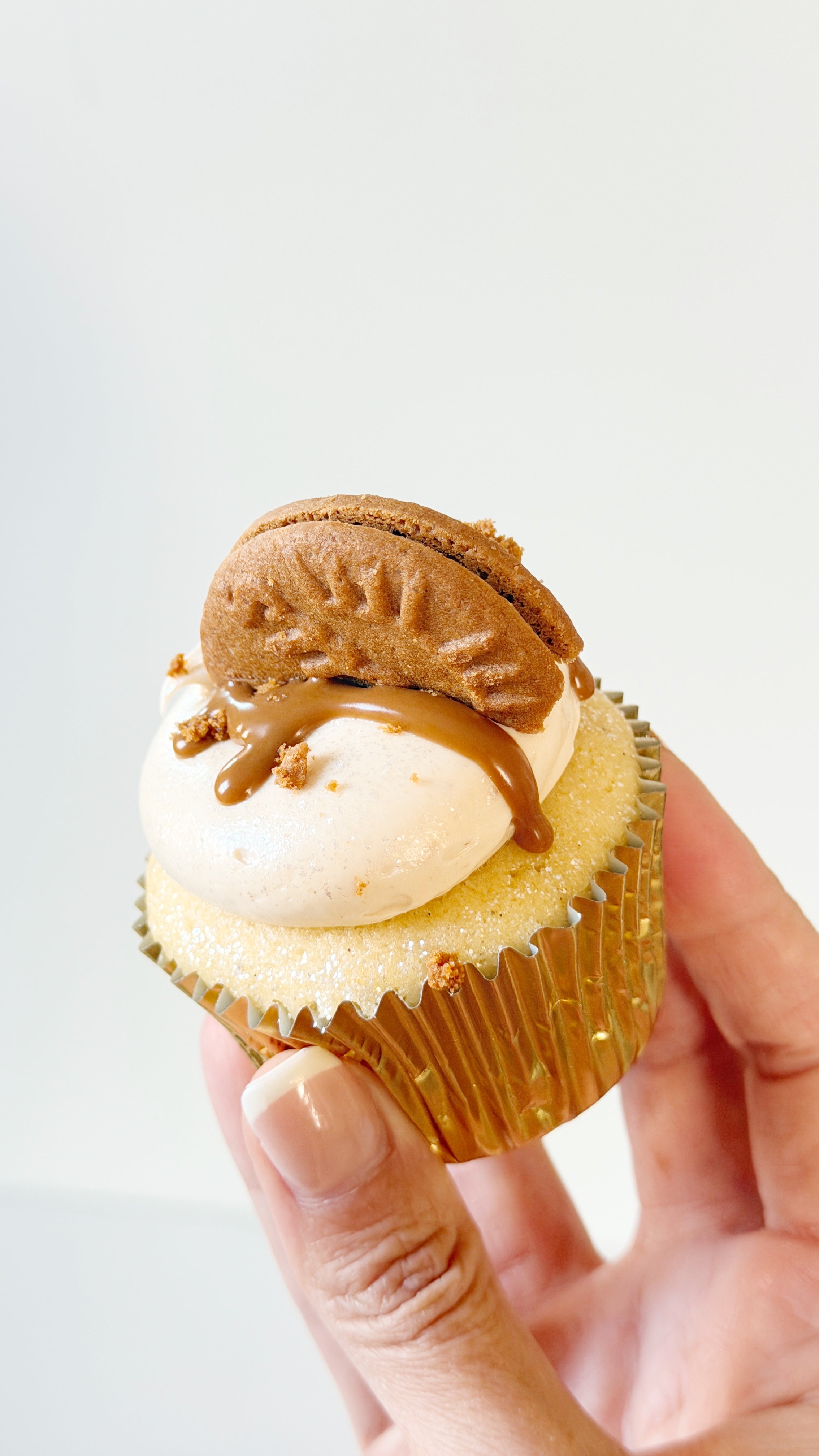 Cupcake Box