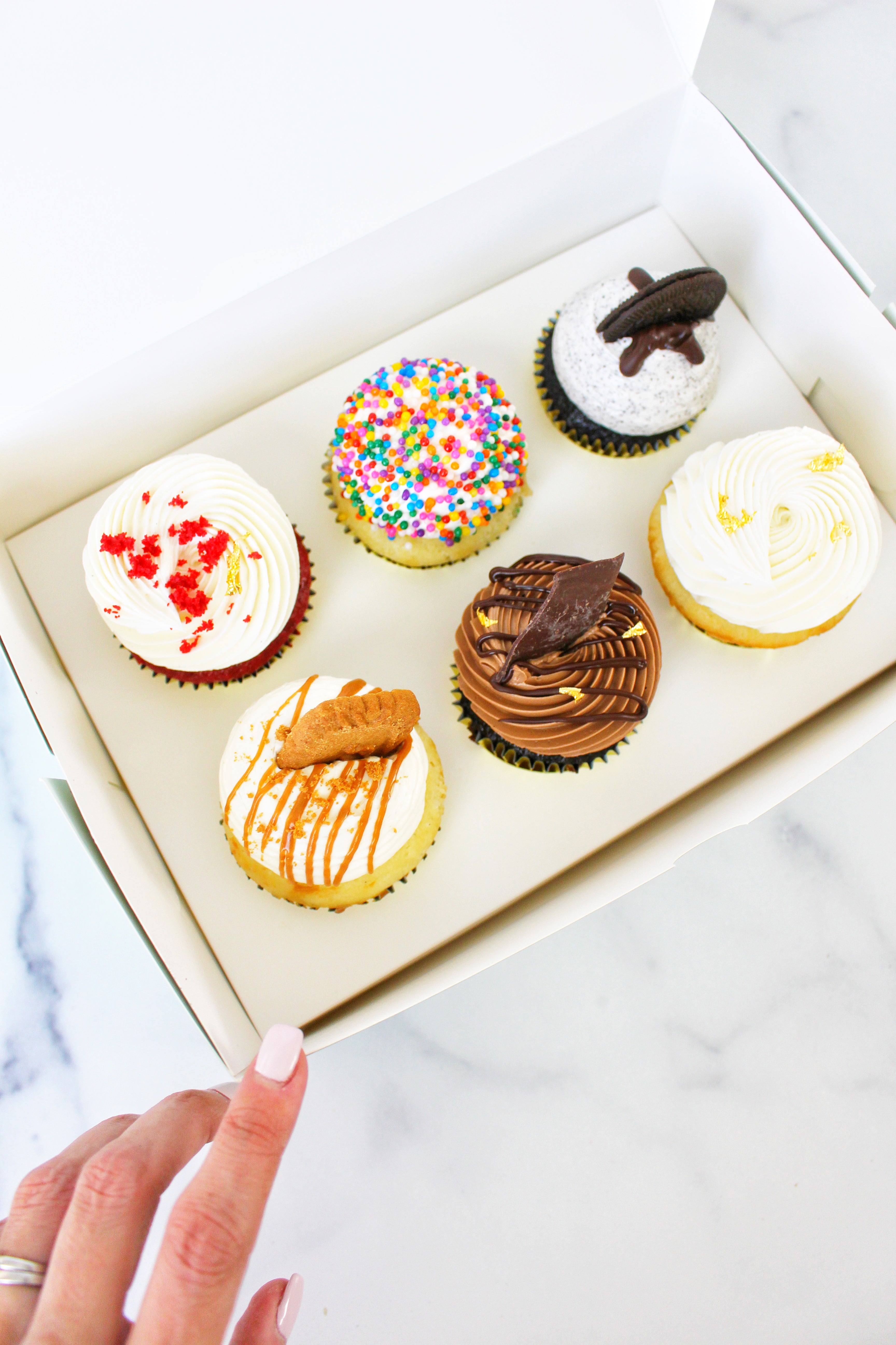 Cupcake Box