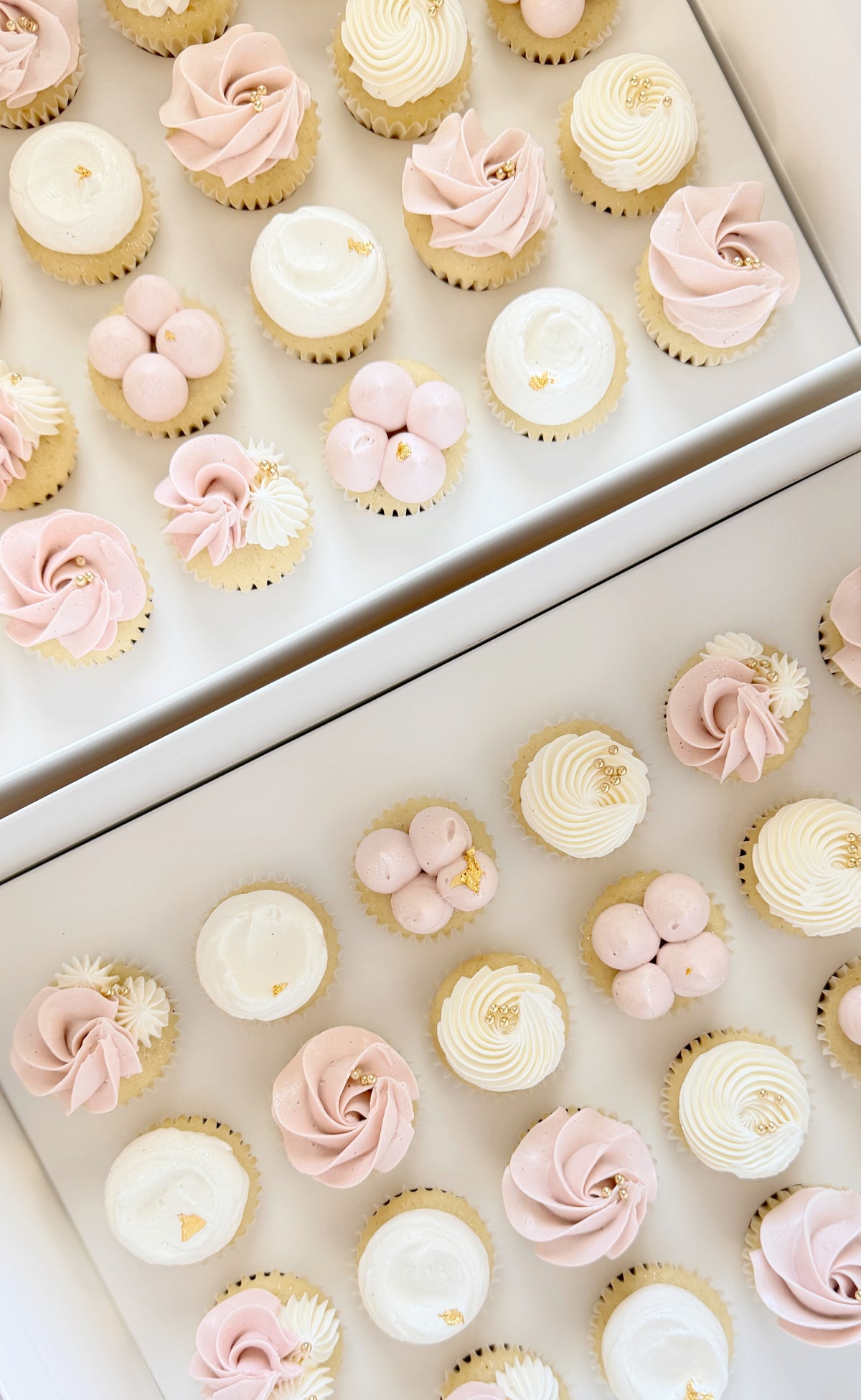 Deluxe Petite Cupcakes — Box of 24