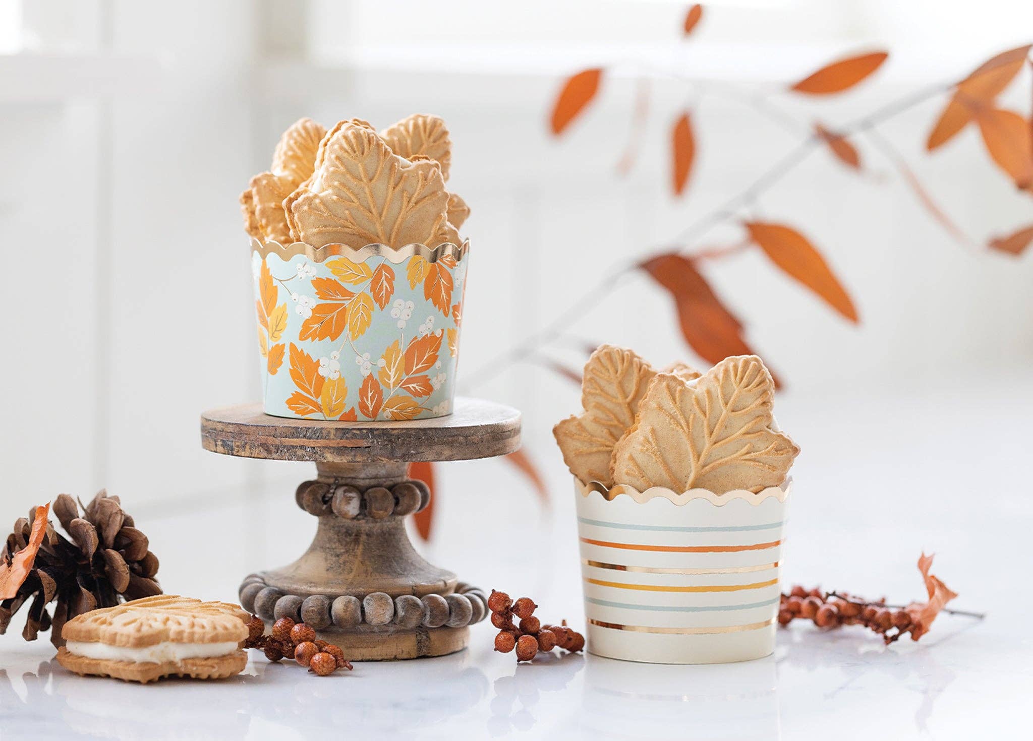 Harvest White Berries Baking/Treat Cups (50 pcs)