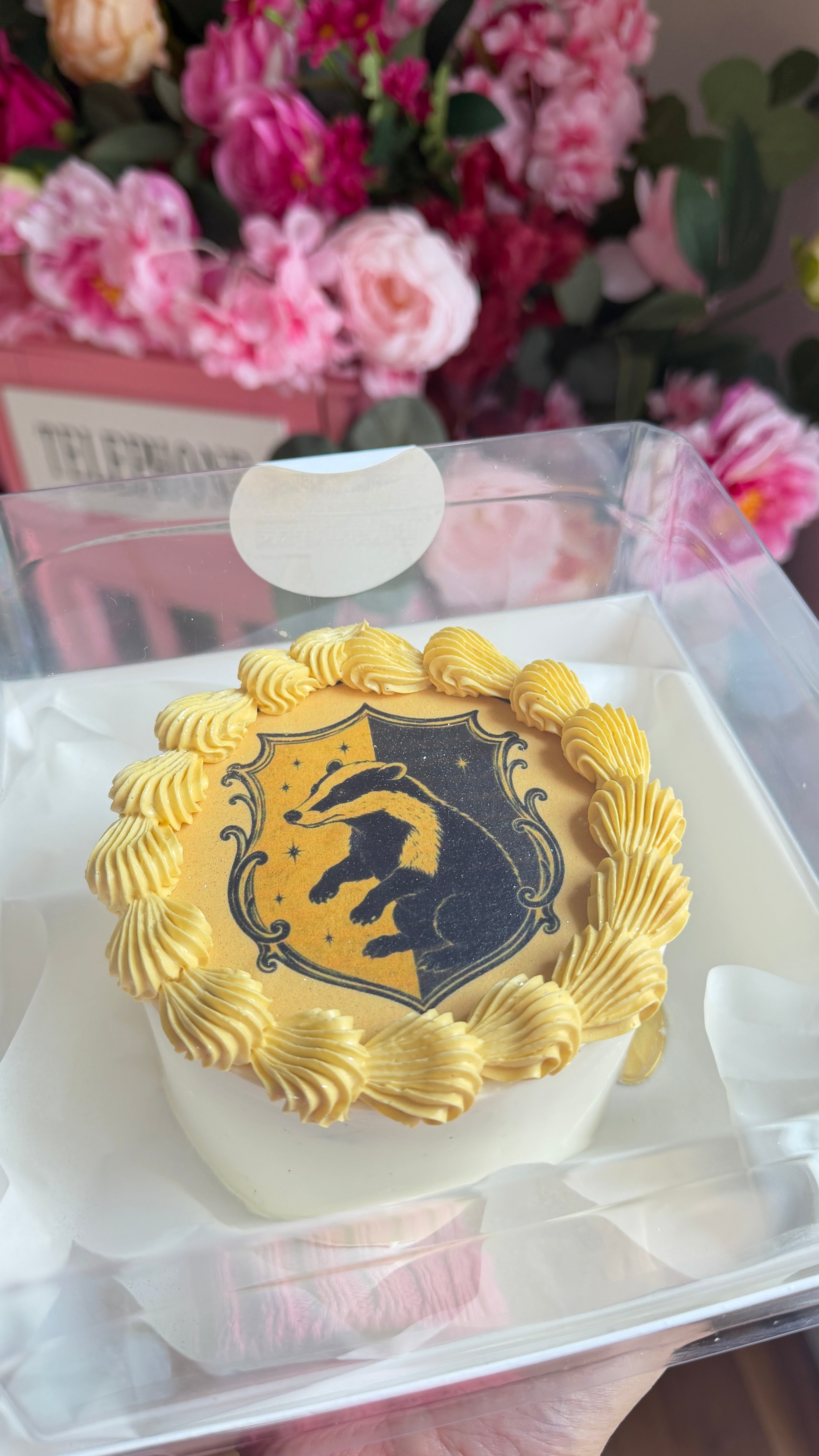 Hogwarts House Bento Cake