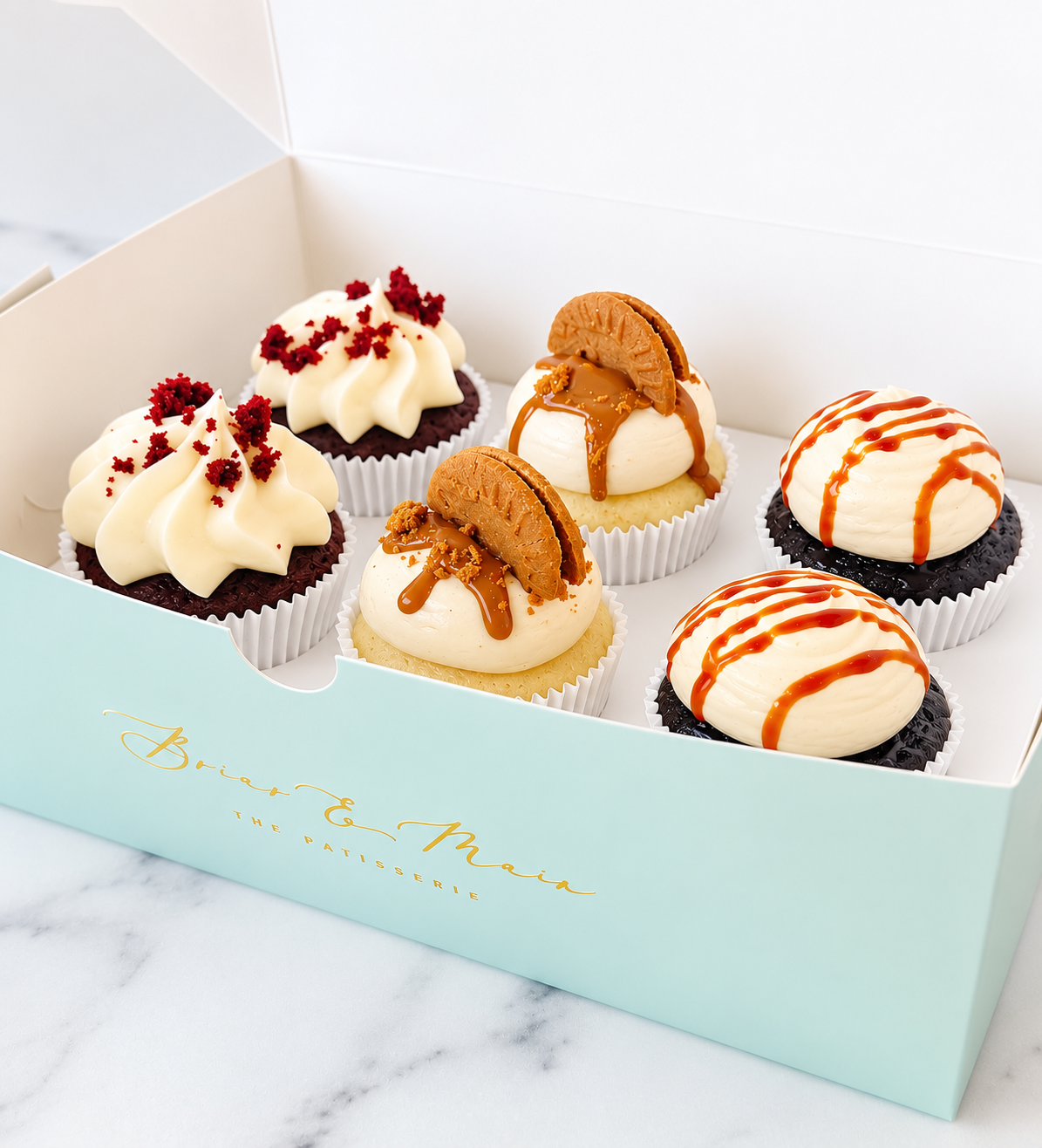 Studio Cupcake Box