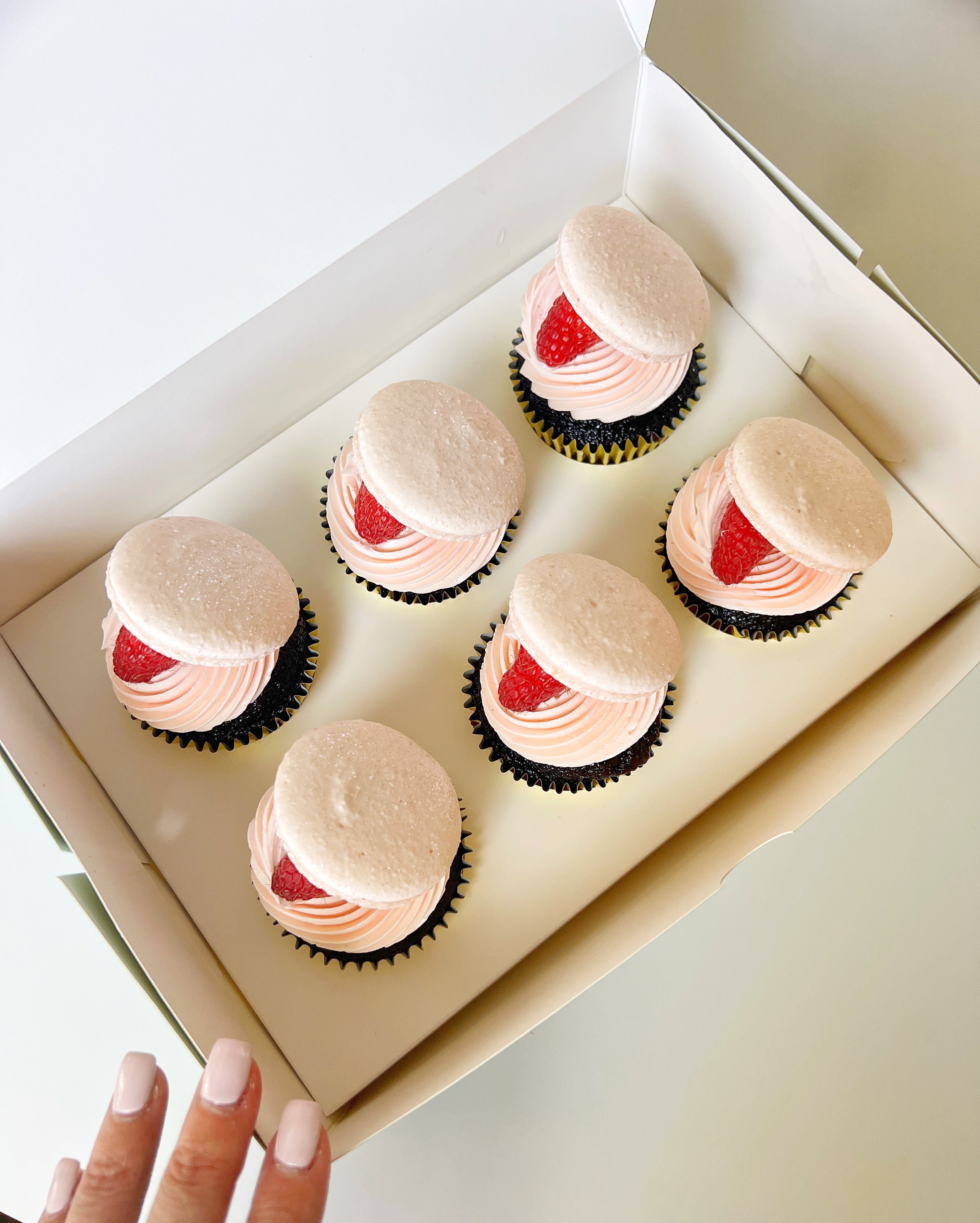 Chocolate Raspberry Macaron Cupcakes